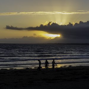 Promenade en famille