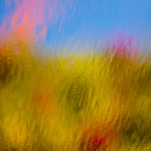 Abstrait