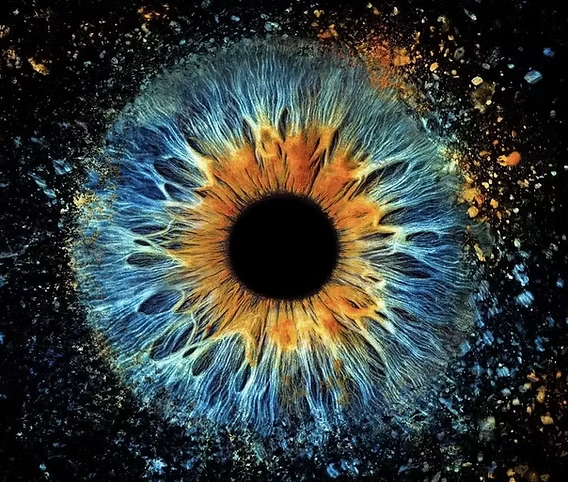 Photo d’iris à Laon iris bleu et doré macro artistique réalisée par Styl’art photo